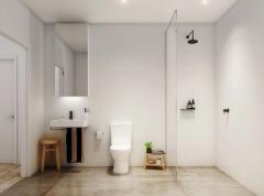 2-10-2013-12-374_288482_DRAFT_01_Interior_Light_Bathroom_800x680_