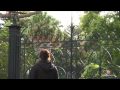 VIC Toorak &amp; South Yarra - Location Video