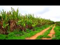 WA Carnarvon - Location Video