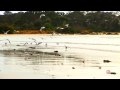TAS Port Sorrell - Location Video