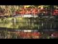QLD Hervey Bay - Location Video