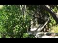 QLD Noosa Heads - Location Video
