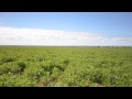 Snowtown - Well Managed Mixed Farming Property Must  ...