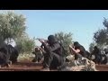 What led another American to ISIS?