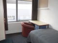 Auckland Central - Impressive 3 Bedroom Rental  ...