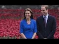 Acute morning sickness has Kate canceling events
