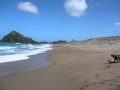 Pataua North - Pataua North Beach Sections  - Peter Vink