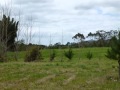 Subdivision Potential On Prime State Highway Site