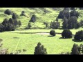 Kaeo - Large Grazing Farm With Multiple Dwellings