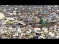 Trash hampers search for missing plane