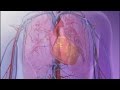 Numbers for a Healthy Heart