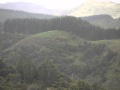 Matakana - Ideal Lifestyle To Raise A Family