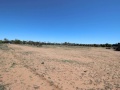 Waikerie - Rural Setting  - Sharon Powardy