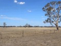 Western Flat - Good Size Holding, Great Mix Flats and  ...