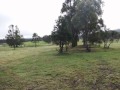 Clarence Town - Boatfalls Estate Selling Fast Be ...