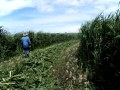 Clifton - Great Irrigation Block Close To Clifton & ...