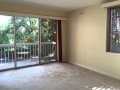 Newstead - Much Larger Than You Think!  - Sasha Gregson