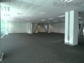 557M2* Warehouse, Plenty Of Parking  - Paula Raine