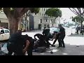 Expert: Man appears to have hand on LAPD officer's gun