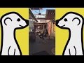 Instantly stream your life with Meerkat