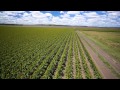 'Rainbow Valley' Catrionas Road, Jondaryan