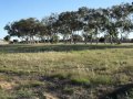 Spalding - Low Cost, Convenient Location - -