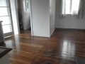 Hamilton East - 4 Peachgrove Rd - Andrea Watson