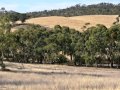 Spring Gully - Beautiful Skilly Valley  Acreage,  ... -