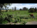 Cambridge - Price Reduction!!- Beginners Lifestyle ...