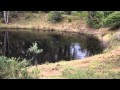Bathurst - Oakwood - 30 Acres - Peter Crampton