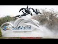 Former trainer: SeaWorld had policy of food deprivation