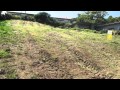Raglan - Vendor Wants This Section Sold!!! - -