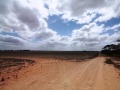 Monash - Room To Run & Play and Just Go Wild! - -