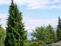 Wanaka - Bremner Bay On A Budget - Ray White Wanaka