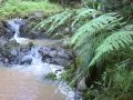 639 Currumbin Creek Road - Largest Block In The ... -