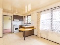 Mill Park - Nothing A Little Tlc Can't Fix  -  -