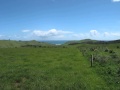 814 Ruapuke Rd - Surf's Up - Graham Rope