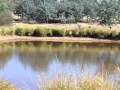 Temora - Longreef Ranch Private Tranquil Lifestyle ...