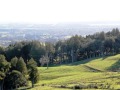 Development On The 'Best' Hill - Gerald Simpson