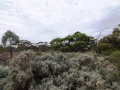 Loveday - Rub A Dub, Dub Lets Build In The Scrub! -