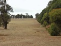 Mount Camel - Desirable Mount Camel  -  -