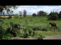 Cambridge - Price Reduction!!- Beginners Lifestyle ...