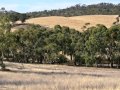 Spring Gully - Beautiful Skilly Valley  Acreage,  ... -