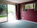 Nelson - Modern In Nelson City - -