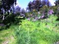 5 - Three Titles, Plans For 6 Strata Title Allotments ...