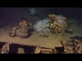 U.S. billionaire discovers WWII shipwreck