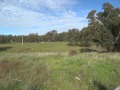 Narrandera - Lot 6 - Bev Pellow - Ray White Temora