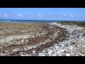 Eight Mile Creek - Your Own Piece Of Paradise