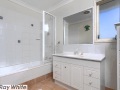 Very Neat & Tidy - -