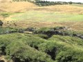 Raglan - Ruapuke Paradise & Privacy - -